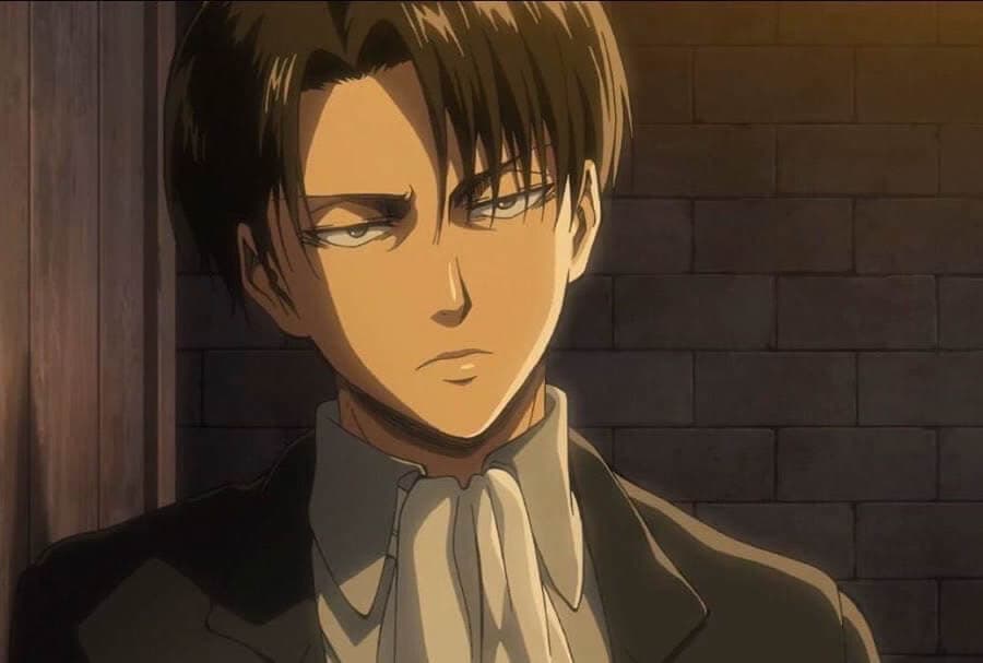 an image of LEVI.N