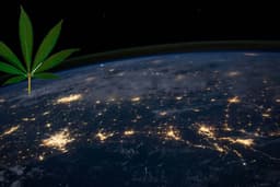 an image of IM Cannabis Corp. Secures $2.17 Million in Debt Financing