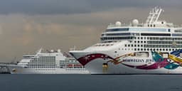 Norwegian Cruise Line Shares Decline Following CEO Transition: Reasons for the Downgrade.