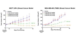 Actinium Presents ATNM-400 Breast Cancer Data, Demonstrating Strong Anti-Tumor Activity