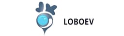 LOBO Technologies Faces Nasdaq Compliance Warning as Share Price Falls Below $1