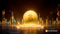 an image of Bitcoin Munari Closes Presale, Public Trading Set for December 28