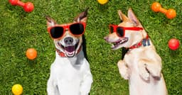 an image of Target's Sales Decline Leads to Stock Trading Below 13x Earnings