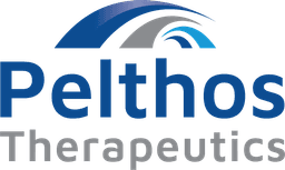 an image of Pelthos Appoints Andrew J. Einhorn to Board, Enhancing Financial Management