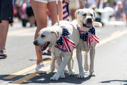 U.S. Pet Spending Resilience in 2025 Highlights Shift in Consumer Behavior