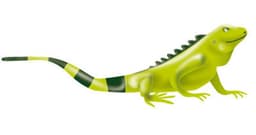 an image of Ecopetrol Evaluates Acquisition Opportunities in Brazil