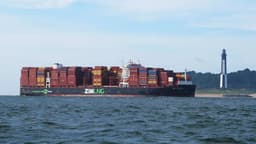 an image of Zim Evaluates Multiple Buyout Proposals, Rejects CEO's Offer