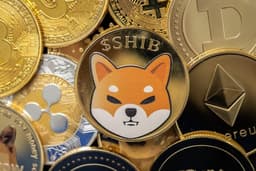 an image of Dogwifhat Trading Volume Surges 132% Amid New Year Memecoin Frenzy