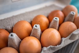 an image of Cal-Maine Foods Faces Challenges as Egg Prices Plunge 20.9% Year-Over-Year