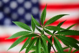 Trump's Executive Order Urges Cannabis Rescheduling, Potentially Eliminating 280E Tax Burden
