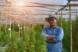 Tilray Brands Reports $217.5M Q2 Revenue, 36% Surge in International Medical Cannabis Sales