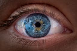 an image of Ocugen Inc Announces $22.5 Million Stock Offering, Shares Drop 10.48%