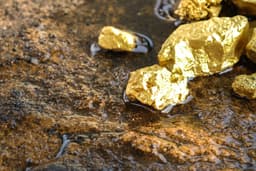 Aris Mining (ARMN) Reports 2025 Gold Production of 256,503 Ounces, Forecasts 2026 Output of 300,000-350,000 Ounces