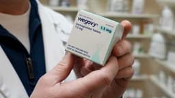 an image of Eli Lilly and Novo Nordisk Drive Diversification in Obesity Drug Market