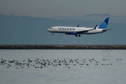 an image of U.S. Airlines Cancel Over 12,000 Flights Due to Winter Storm Fern
