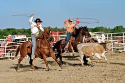 an image of Innodata Partners with Palantir, Boosting Stock Price