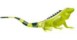 an image of Ecopetrol Nominates New Board Candidate