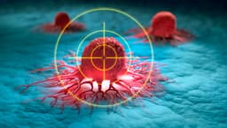 an image of Hims & Hers Launches Multi-Cancer Early Detection Test