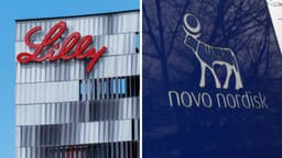 an image of Diverging Market Outlooks for Eli Lilly and Novo Nordisk