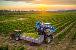 FMC Corporation Shares Plunge 20.7% Amid Strategic Review