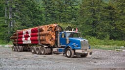 an image of Canadian Stocks Outperform U.S. Market Significantly