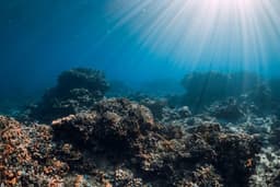 Johnson Outdoors Reports 31% Sales Growth but Wider Net Loss