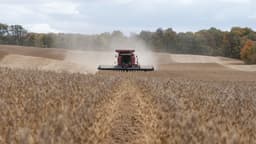 Analysis of Tariffs' Impact on the U.S. Economy