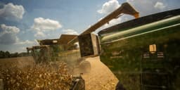 an image of Five AI Stocks Worth Considering for Investors