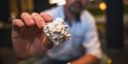 an image of Corteva Reports 2025 Financial Results and Growth Outlook for 2026