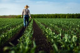 What's Going On With Bunge Stock On Tuesday?