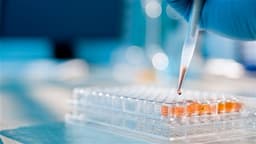 an image of CMBI Increases WUXI XDC's Target Price to HKD88, Maintains Buy Rating; Strong Earnings Growth Anticipated