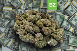 Avient Releases 2026 Financial Outlook Amid Mixed Demand Conditions