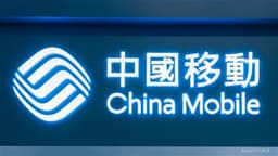 CHINA MOBILE Invests USD22M in Huawei AI Chips