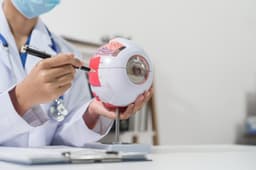 an image of Eli Lilly Enhances Genetic Eye Disease Pipeline Through Collaboration with MeiraGTx on Gene Therapy