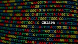 CRISPR Therapeutics Reports Q4 Losses Amid Revenue Decline