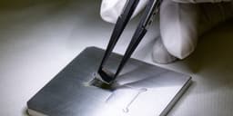 an image of Palantir and Five Other Stocks That Could Appeal to Trump Positively