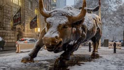 Wall Street Anticipated a Surge of Deals Under Trump in 2025, But It Proved More Complicated