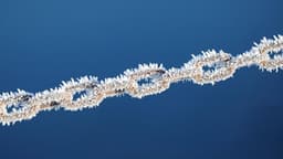 Barrier Capital Initiates Over $10 Million Position in Compass