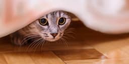 Don’t do anything about your 401(k) until Tuesday