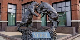 an image of Stifel Financial Posts Impressive Earnings, Yet Stock Declines.