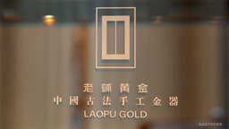 an image of CMSI Launches LAOPU GOLD with Underweight Rating, Anticipates Significant Revenue Slowdown and Decline in Earnings Quality