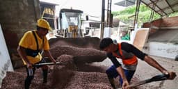 A New Type of Active Commodity Funds Outperforming Index Funds: The Key is Strategy.