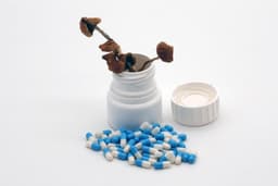 Ex-Gov't Foe Joins Trump, RFK Jr.'s HHS To Lead Psychedelics Policy: What It Means For Investors