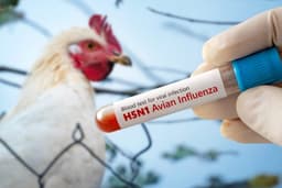 Bird Flu Sparks Vaccine Stock Surge: ETFs To Watch As H5N1 Outbreak Intensifies