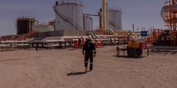 an image of Latin American Stocks Rise as Global Capital Moves Inward.