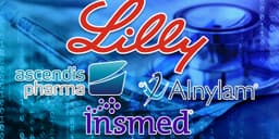 Eight Stock Selections to Capitalize on a Robust Sector of the Market