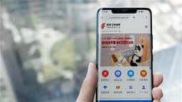 an image of AIR CHINA to Offer Over 70,000 Passenger Flights for 2026 Spring Festival Travel Surge