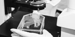 an image of Sarepta Shares Rise as 3-Year Elevidys Study Results Offer Promise.