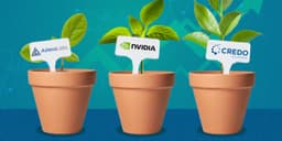 Lesser-Known Chip Stocks May Experience Significant Sales Growth Over the Next Two Years