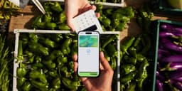 Wise Reports Decline in Pretax Profit Despite Revenue Increase